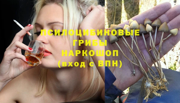 не бодяженный Алзамай